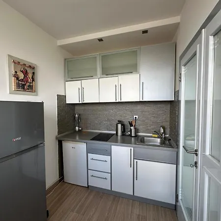 Temple View Vracar Appartamento Belgrado